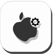 Apple Apple