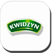 Kwidzyn
