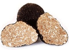 Гриб трюфель Італія кг