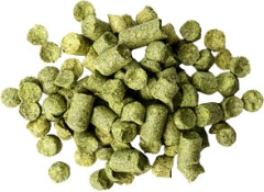 Хміль Колумбус США гранульований (Columbus Hop USA) α = 15.0% 10 г Хміль Колумбус США гранульований (Columbus Hop USA) α = 15.0% 10 г